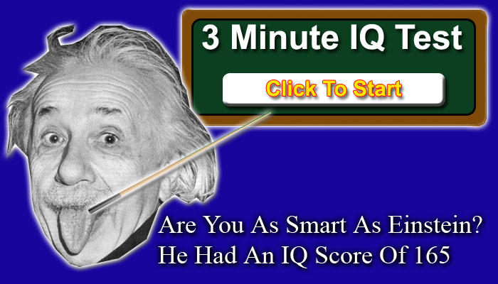 Iq Test Scores